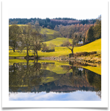 Lakeland Tranquility - Jackie Tucker